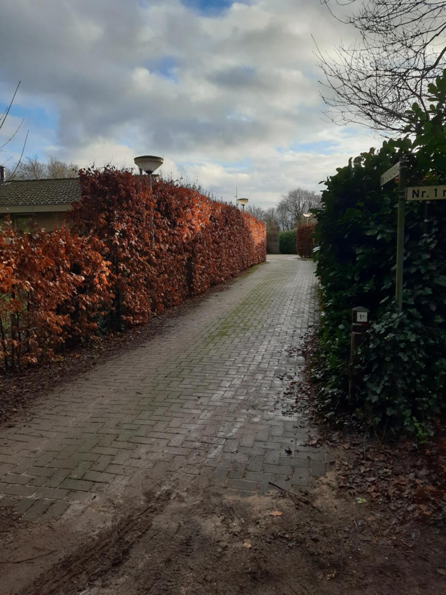 Huinerhofje 2 - Vrijstaand Met Grote Omheinde Tuin, Rust, Privacy En Nabij Bossen Villa Putten Buitenkant foto