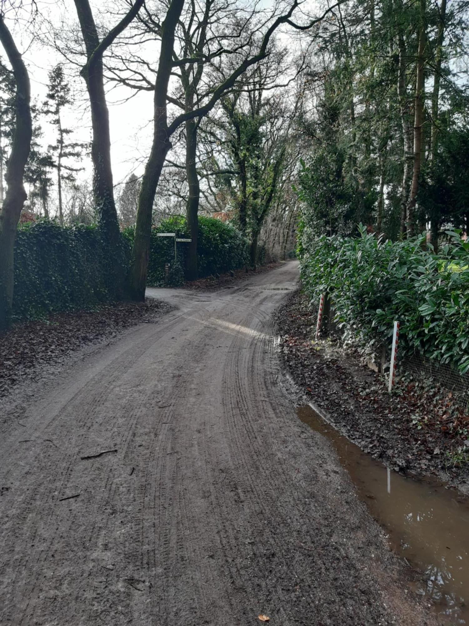 Huinerhofje 2 - Vrijstaand Met Grote Omheinde Tuin, Rust, Privacy En Nabij Bossen Villa Putten Buitenkant foto